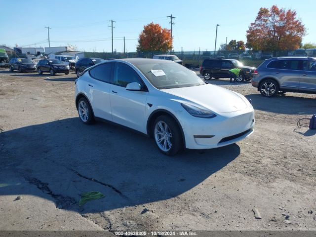 Photo 0 VIN: 5YJYGAEE6MF172730 - TESLA MODEL Y 