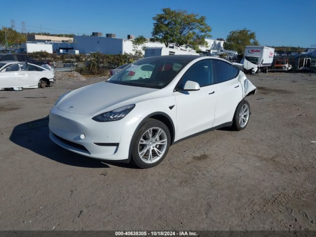 Photo 1 VIN: 5YJYGAEE6MF172730 - TESLA MODEL Y 