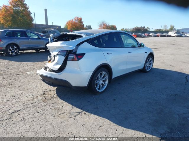 Photo 3 VIN: 5YJYGAEE6MF172730 - TESLA MODEL Y 