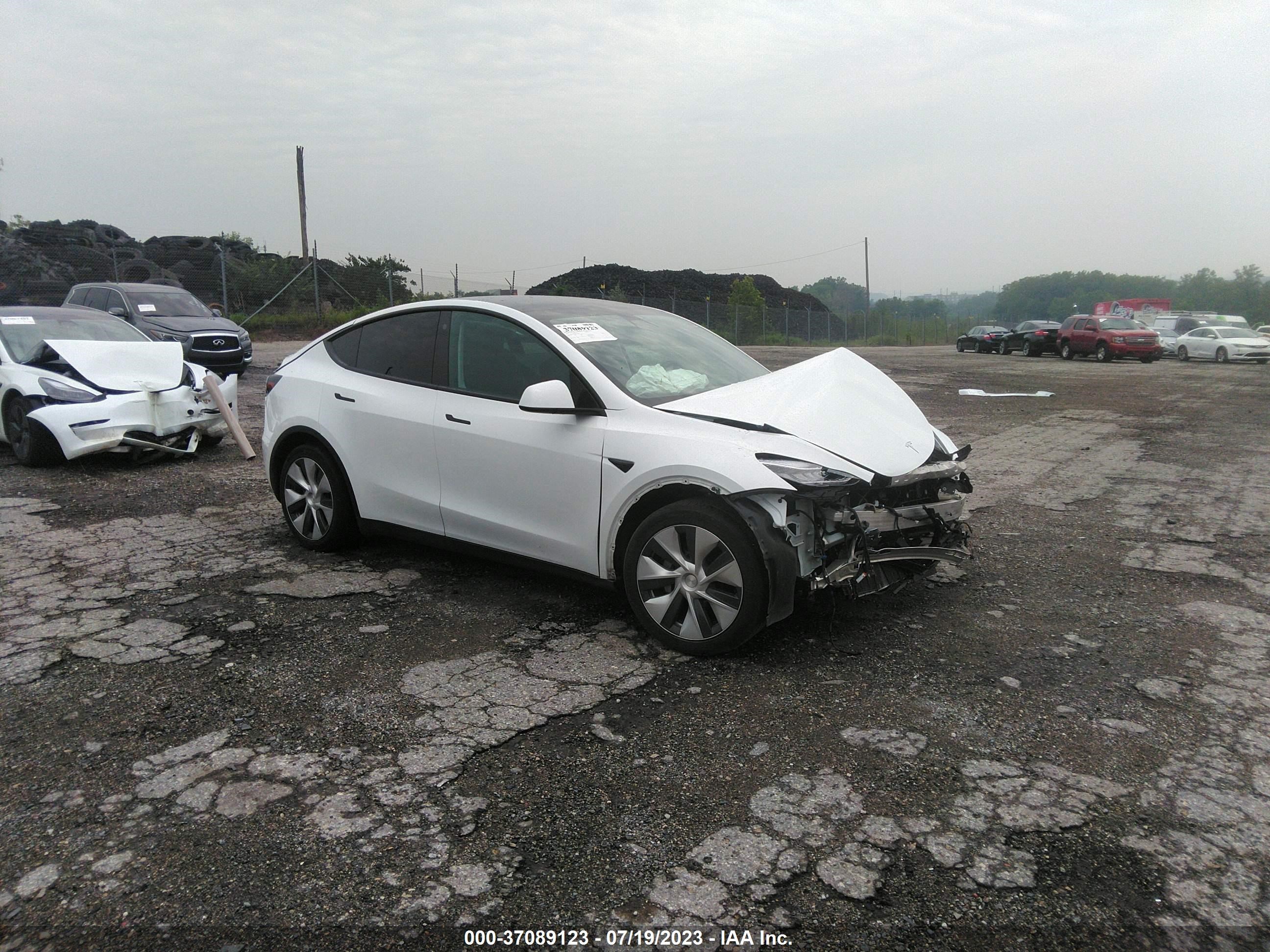 Photo 0 VIN: 5YJYGAEE6MF230089 - TESLA MODEL Y 