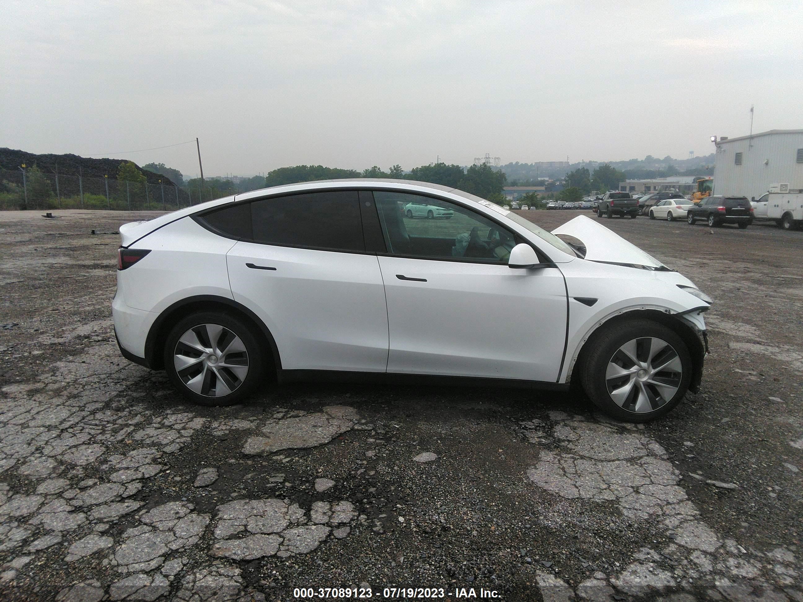 Photo 11 VIN: 5YJYGAEE6MF230089 - TESLA MODEL Y 