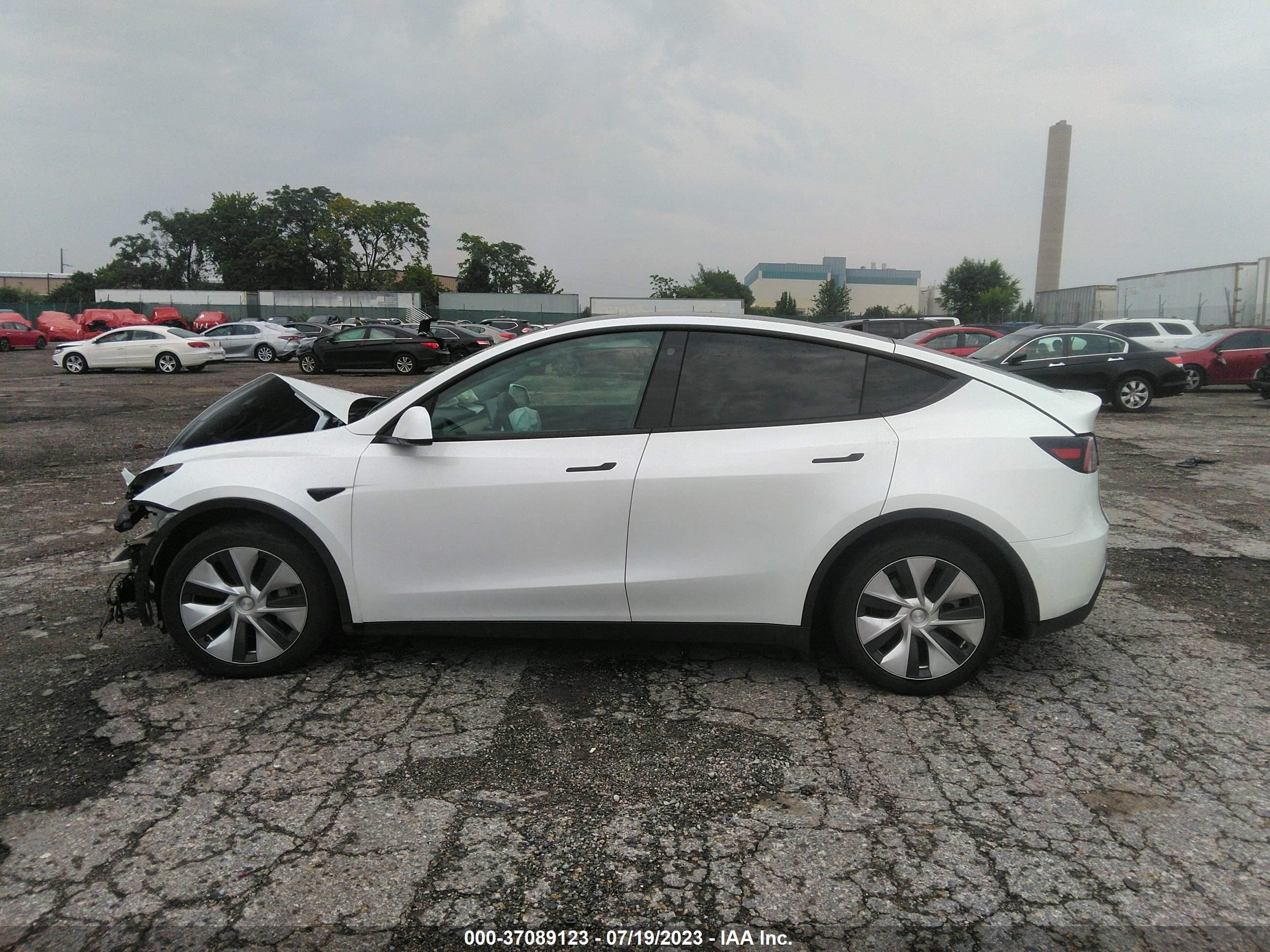 Photo 12 VIN: 5YJYGAEE6MF230089 - TESLA MODEL Y 