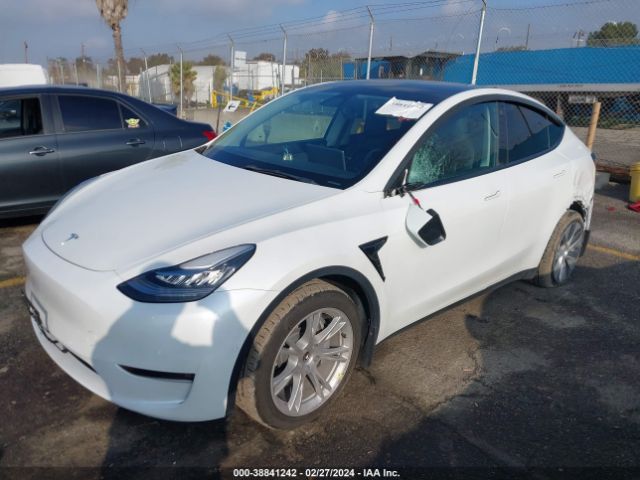 Photo 1 VIN: 5YJYGAEE6MF294343 - TESLA MODEL Y 