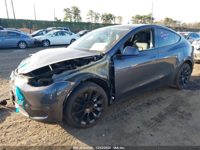 Photo 1 VIN: 5YJYGAEE8MF200656 - TESLA MODEL Y 