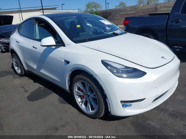 Photo 0 VIN: 5YJYGAEE9MF113235 - TESLA MODEL Y 