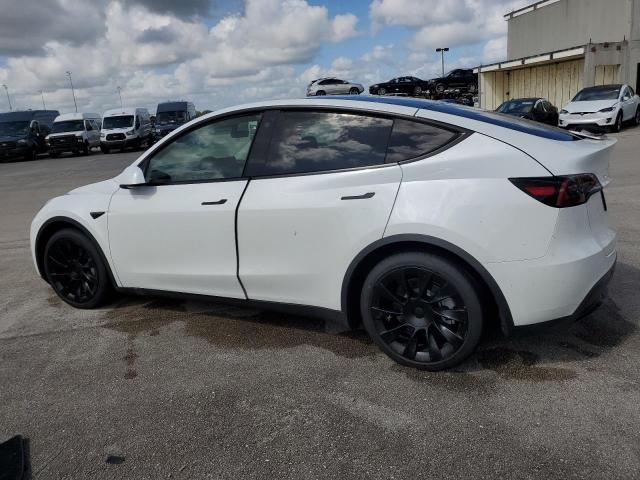 Photo 1 VIN: 5YJYGAEE9MF143044 - TESLA MODEL Y 