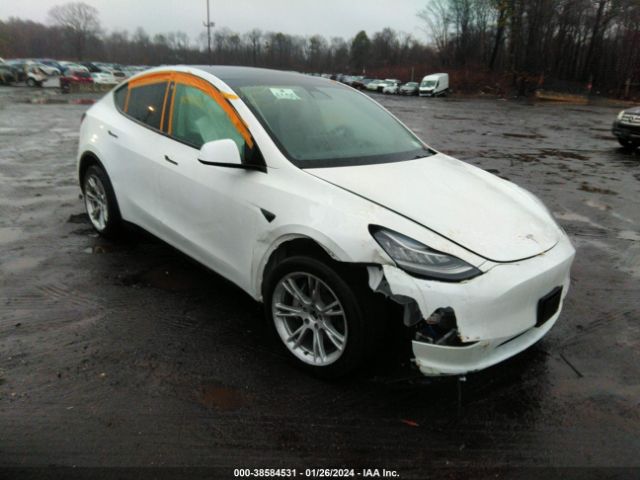 Photo 0 VIN: 5YJYGAEE9MF145991 - TESLA MODEL Y 