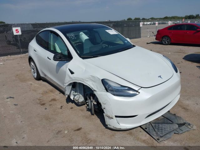 Photo 0 VIN: 5YJYGAEE9MF189909 - TESLA MODEL Y 