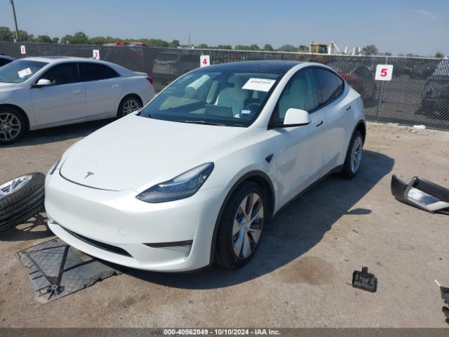 Photo 1 VIN: 5YJYGAEE9MF189909 - TESLA MODEL Y 