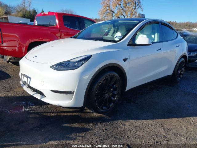 Photo 1 VIN: 5YJYGAEEXMF186923 - TESLA MODEL Y 