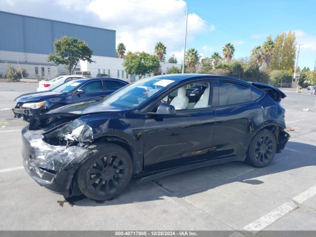 Photo 1 VIN: 5YJYGAEEXMF244190 - TESLA MODEL Y 