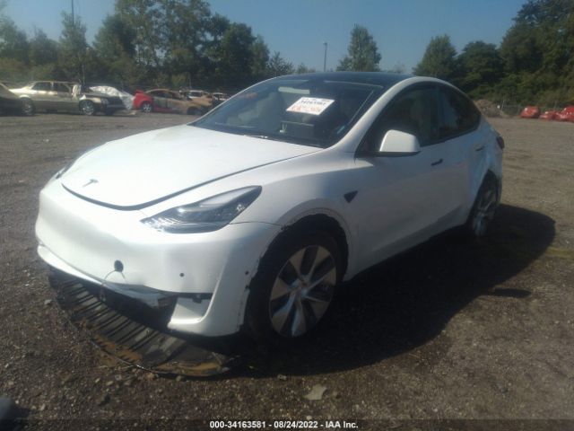 Photo 1 VIN: 5YJYGDED0MF103623 - TESLA MODEL Y 