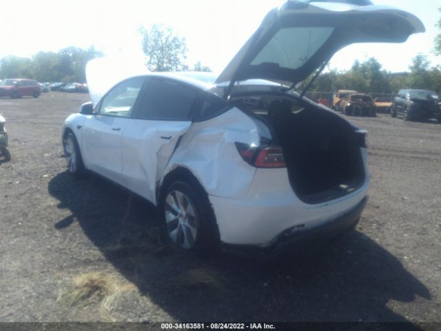 Photo 2 VIN: 5YJYGDED0MF103623 - TESLA MODEL Y 