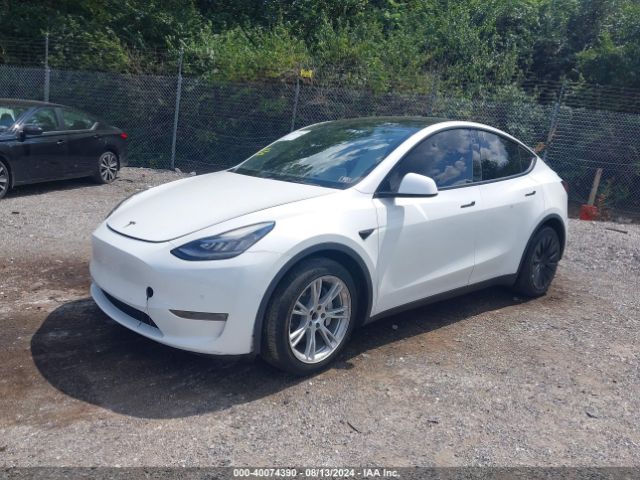 Photo 1 VIN: 5YJYGDED1MF109155 - TESLA MODEL Y 