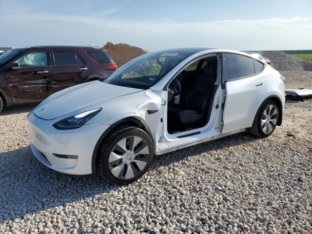 Photo 0 VIN: 5YJYGDED1MF109608 - TESLA MODEL Y 