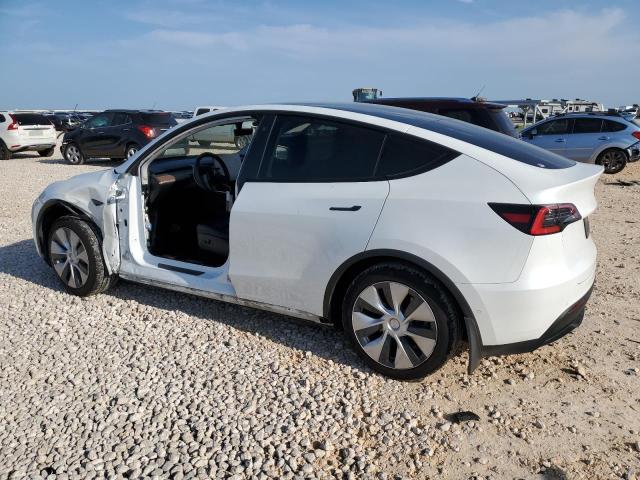 Photo 1 VIN: 5YJYGDED1MF109608 - TESLA MODEL Y 