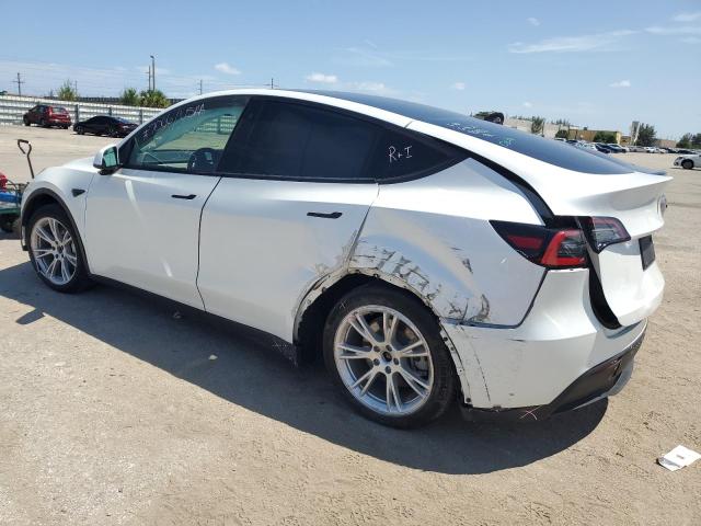 Photo 1 VIN: 5YJYGDED3MF116432 - TESLA MODEL Y 