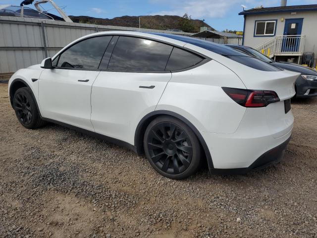 Photo 1 VIN: 5YJYGDED4MF104001 - TESLA MODEL Y 