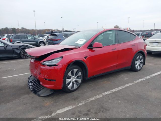 Photo 1 VIN: 5YJYGDED4MF132980 - TESLA MODEL Y 