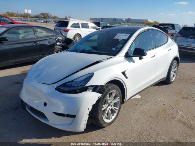 Photo 1 VIN: 5YJYGDED6MF105490 - TESLA MODEL Y 