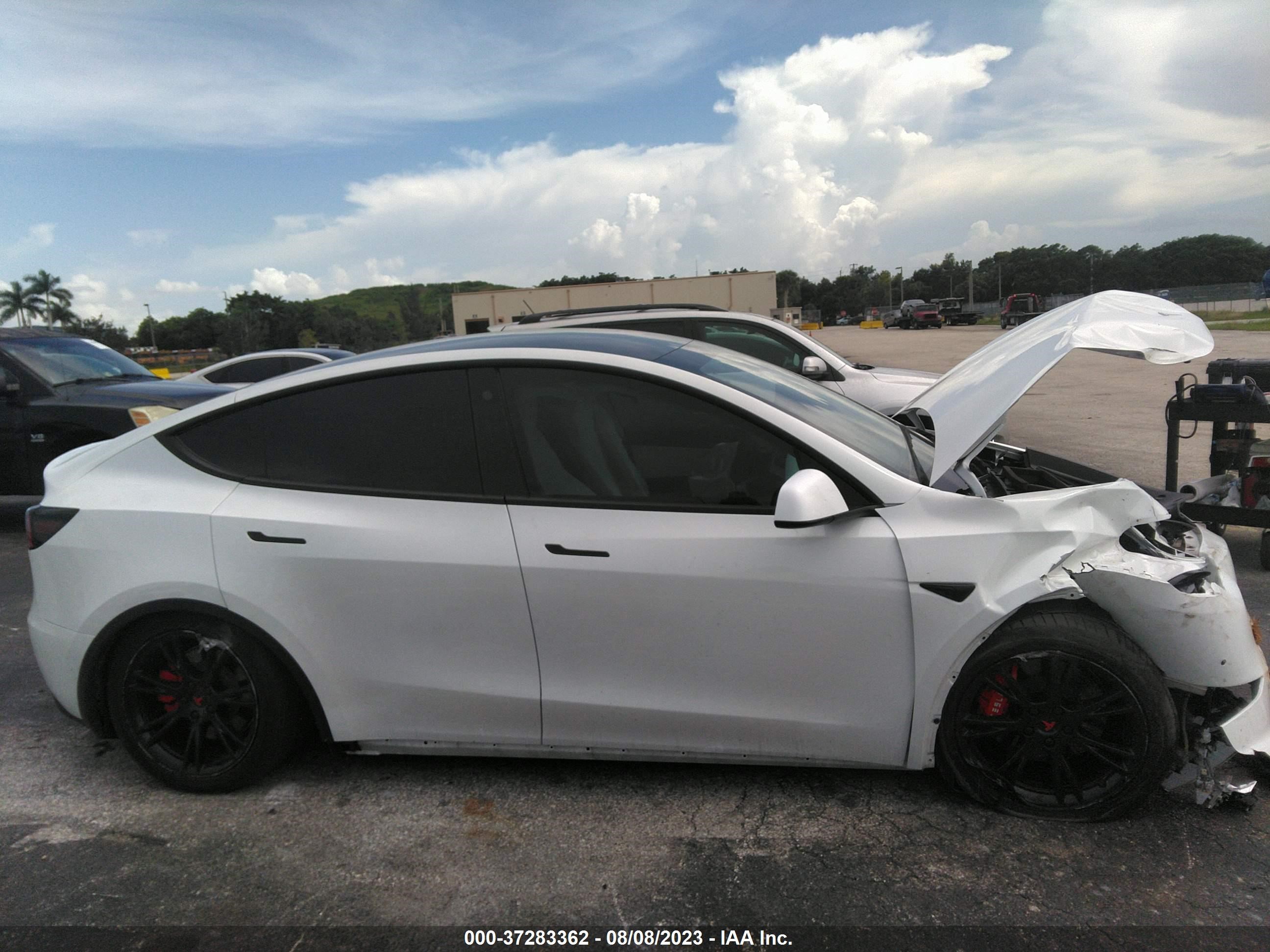 Photo 12 VIN: 5YJYGDED8MF103353 - TESLA MODEL Y 