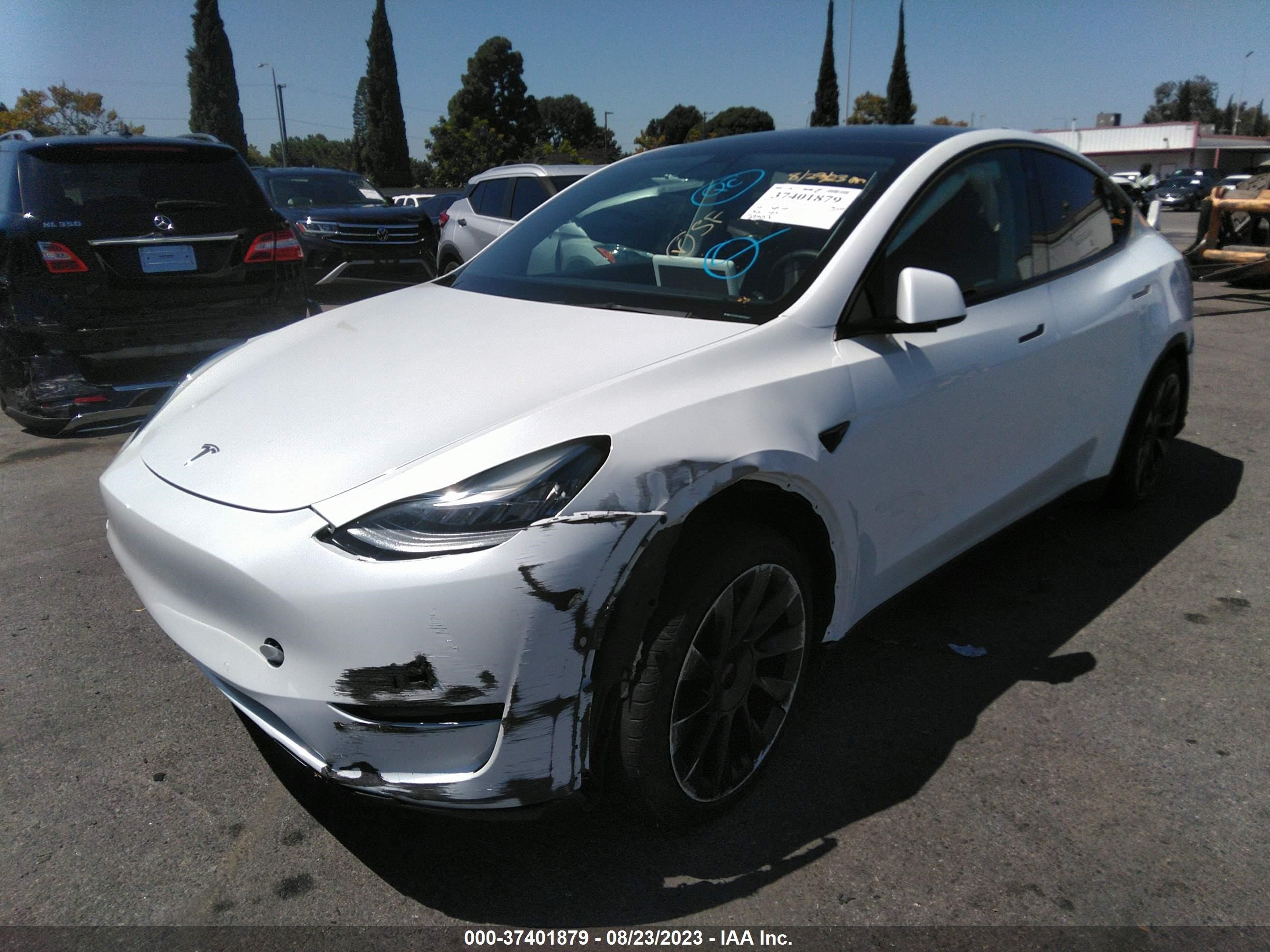 Photo 1 VIN: 5YJYGDED8MF112988 - TESLA MODEL Y 