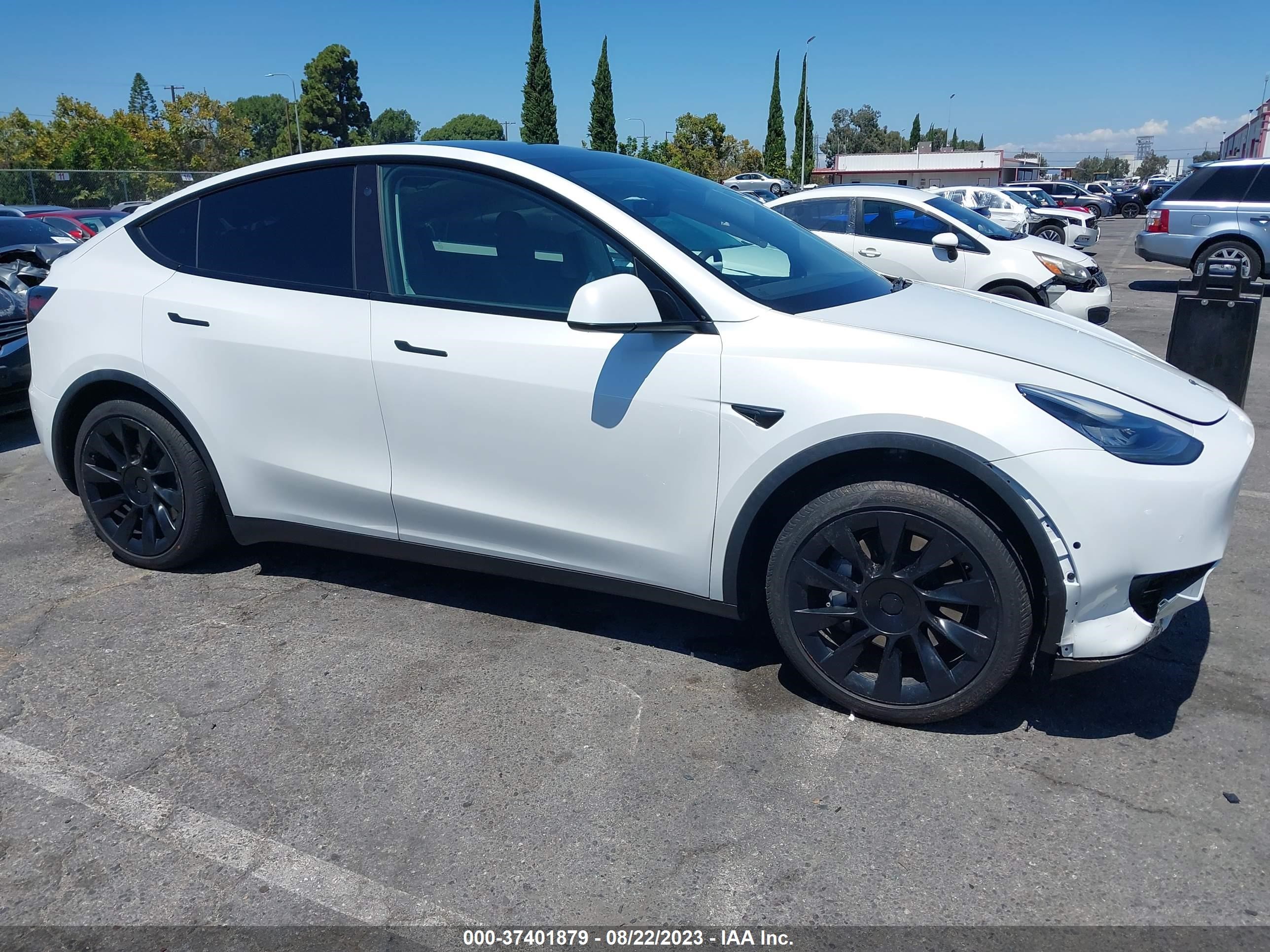 Photo 11 VIN: 5YJYGDED8MF112988 - TESLA MODEL Y 