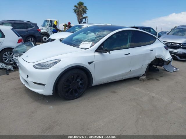 Photo 1 VIN: 5YJYGDEDXMF107503 - TESLA MODEL Y 