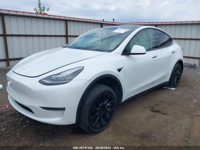 Photo 1 VIN: 5YJYGDEE0LF022130 - TESLA MODEL Y 