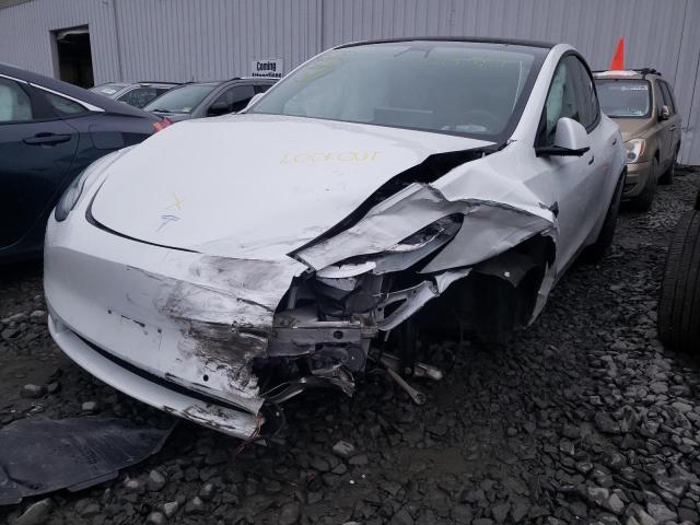 Photo 1 VIN: 5YJYGDEE0LF034052 - TESLA MODEL Y 