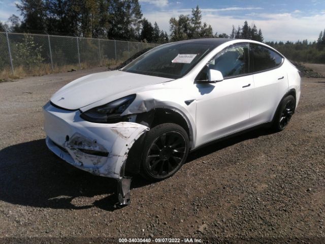 Photo 1 VIN: 5YJYGDEE0LF055984 - TESLA MODEL Y 