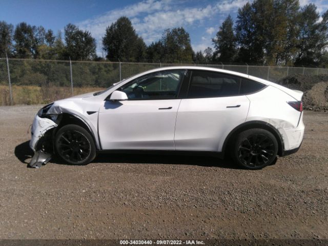 Photo 5 VIN: 5YJYGDEE0LF055984 - TESLA MODEL Y 