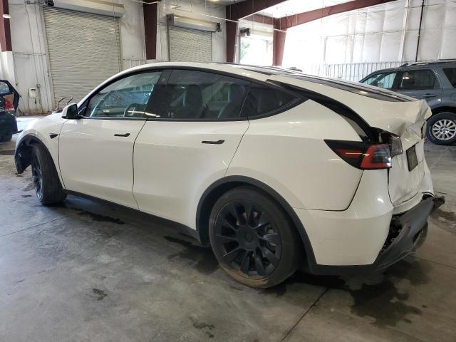 Photo 1 VIN: 5YJYGDEE0MF061351 - TESLA MODEL Y 