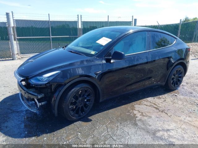 Photo 1 VIN: 5YJYGDEE0MF071751 - TESLA MODEL Y 