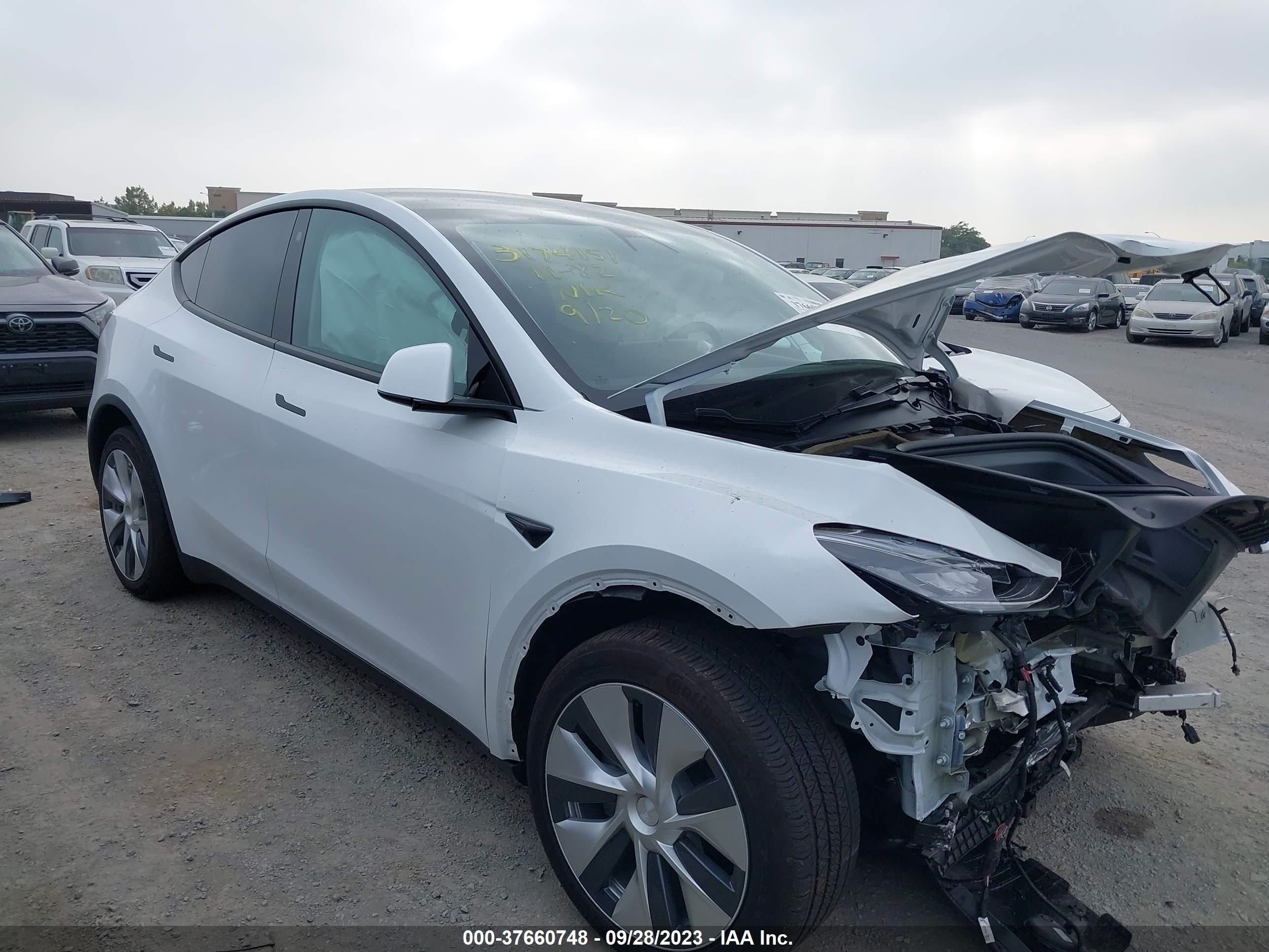 Photo 11 VIN: 5YJYGDEE0MF086525 - TESLA MODEL Y 