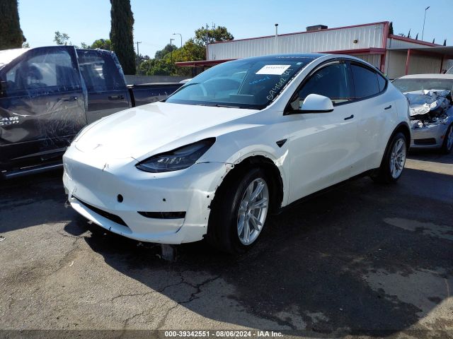 Photo 1 VIN: 5YJYGDEE0MF094642 - TESLA MODEL Y 