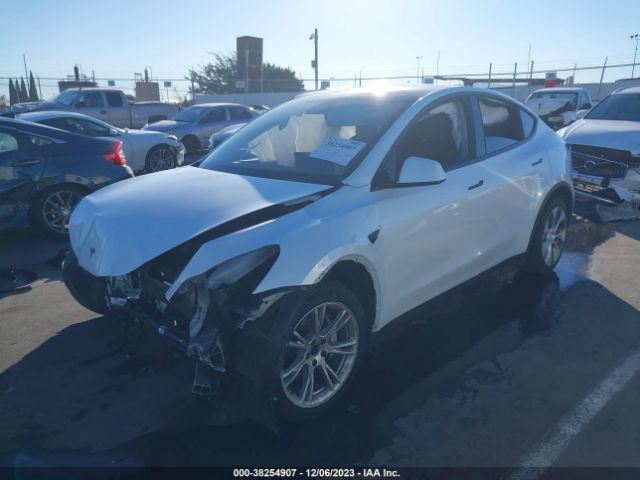 Photo 1 VIN: 5YJYGDEE0MF094785 - TESLA MODEL Y 