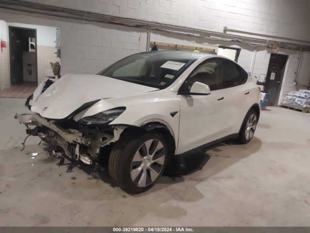 Photo 1 VIN: 5YJYGDEE0MF118566 - TESLA MODEL Y 