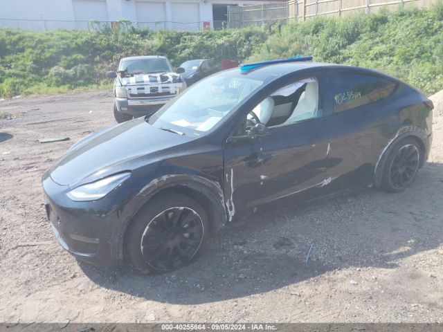 Photo 1 VIN: 5YJYGDEE0MF120284 - TESLA MODEL Y 