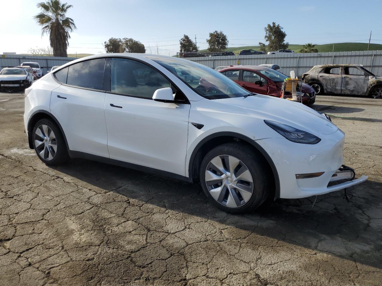 Photo 3 VIN: 5YJYGDEE0MF158999 - TESLA MODEL Y 