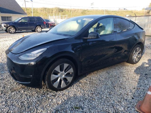 Photo 0 VIN: 5YJYGDEE0MF187385 - TESLA MODEL Y 