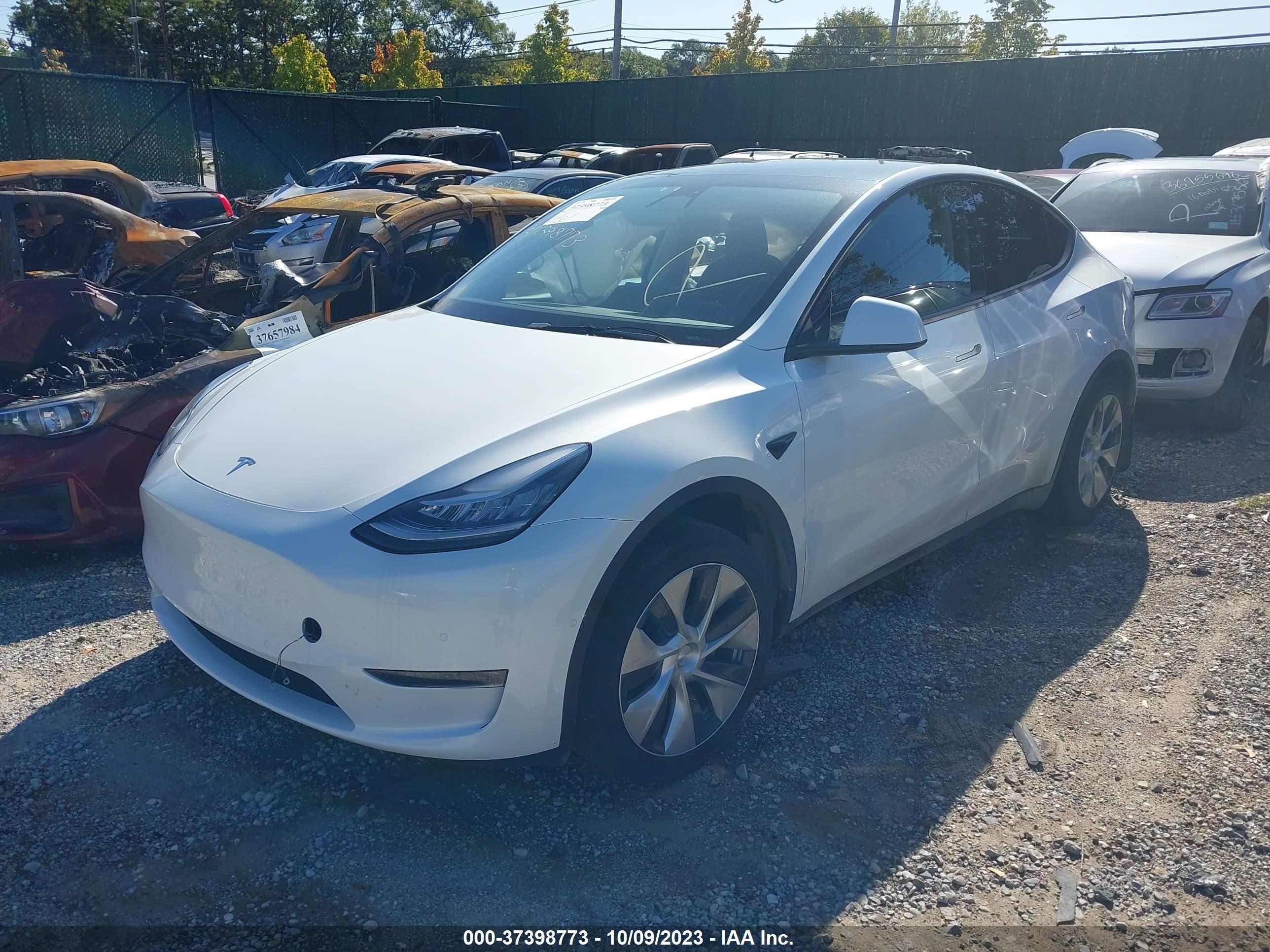 Photo 1 VIN: 5YJYGDEE0MF208753 - TESLA MODEL Y 