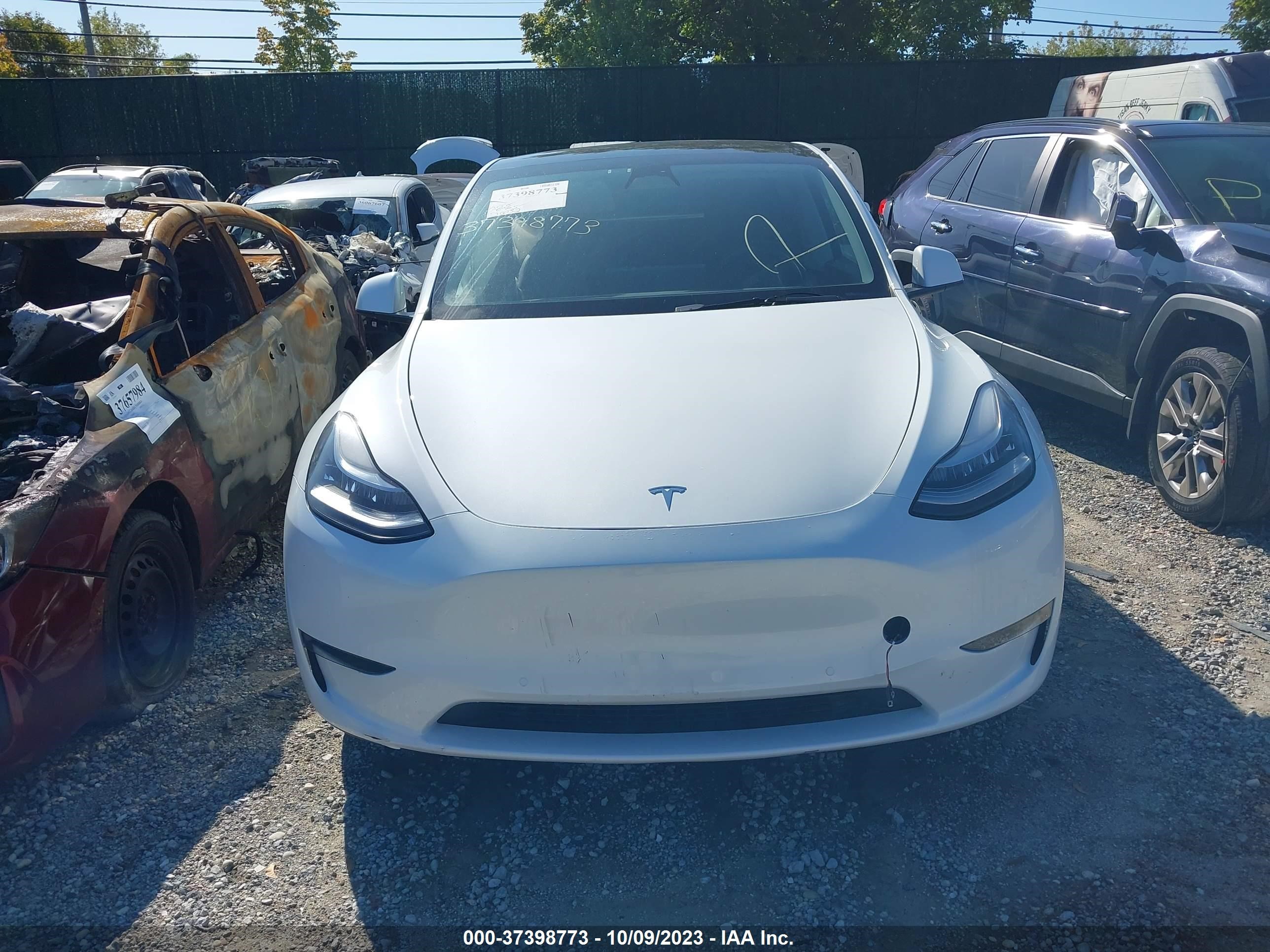 Photo 10 VIN: 5YJYGDEE0MF208753 - TESLA MODEL Y 