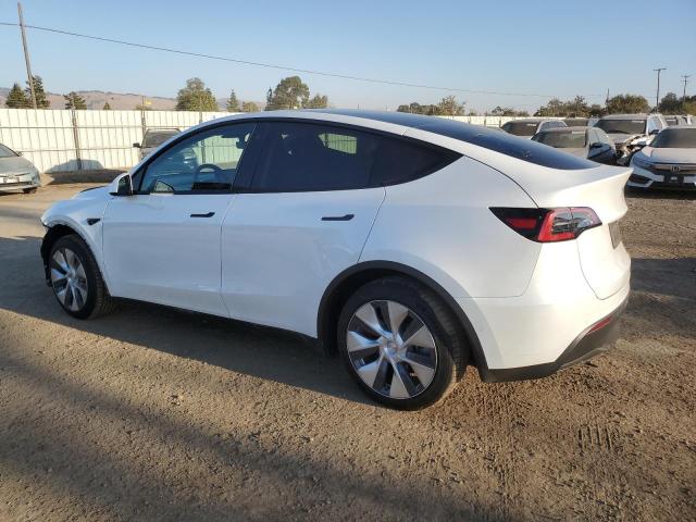 Photo 1 VIN: 5YJYGDEE0MF279368 - TESLA MODEL Y 