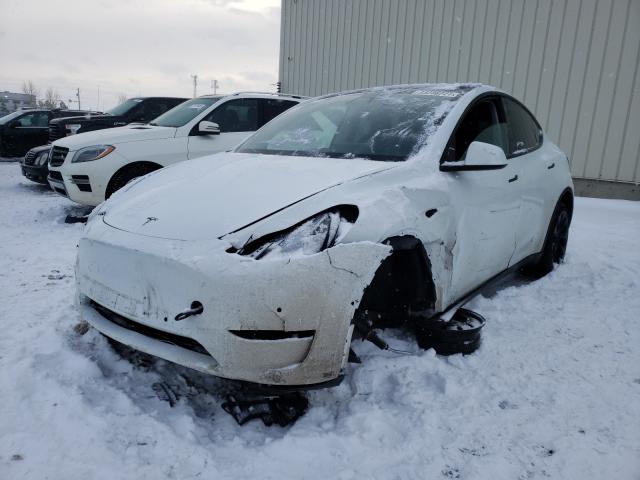 Photo 1 VIN: 5YJYGDEE1LF019303 - TESLA MODEL Y 