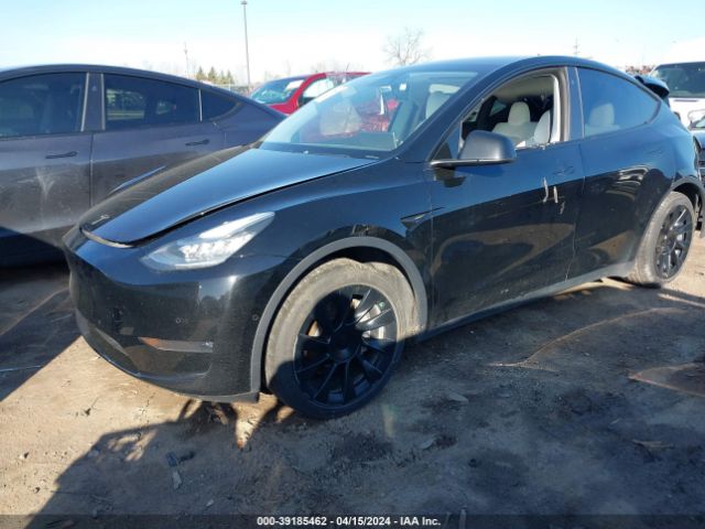 Photo 1 VIN: 5YJYGDEE1LF021231 - TESLA MODEL Y 