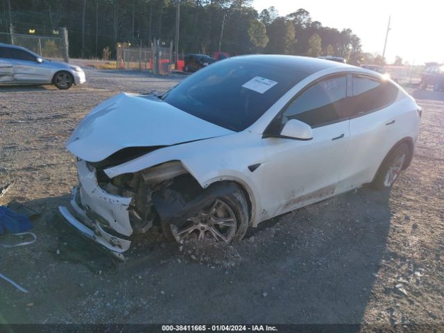 Photo 1 VIN: 5YJYGDEE1LF026753 - TESLA MODEL Y 