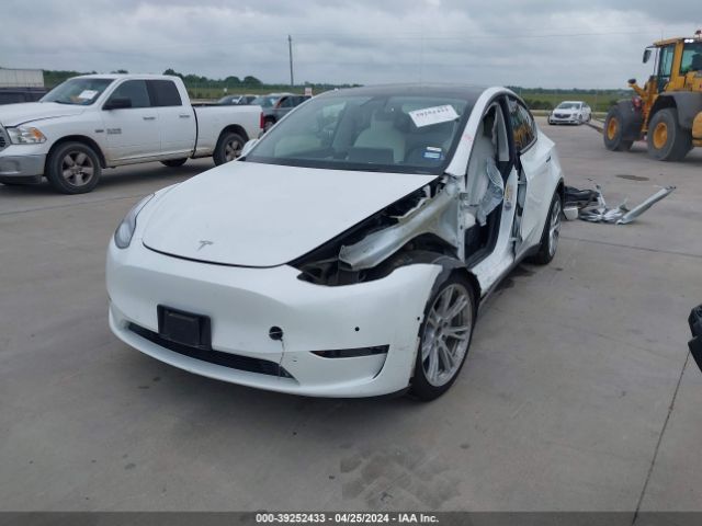 Photo 1 VIN: 5YJYGDEE1LF027403 - TESLA MODEL Y 