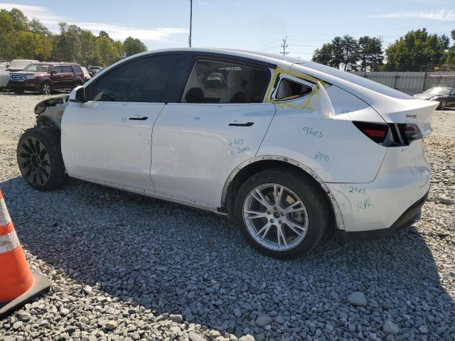 Photo 1 VIN: 5YJYGDEE1LF042239 - TESLA MODEL Y 