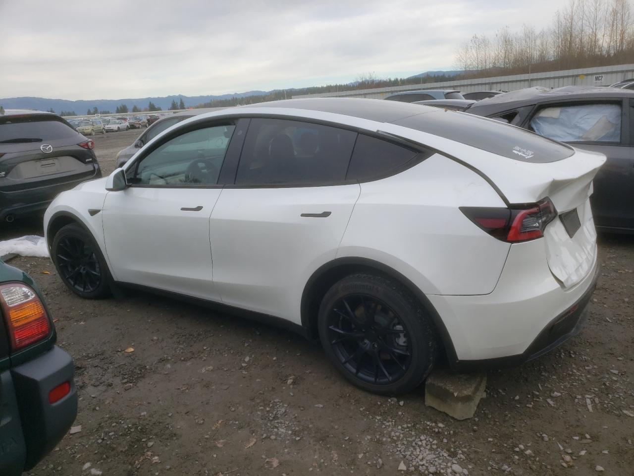 Photo 1 VIN: 5YJYGDEE1LF051135 - TESLA MODEL Y 